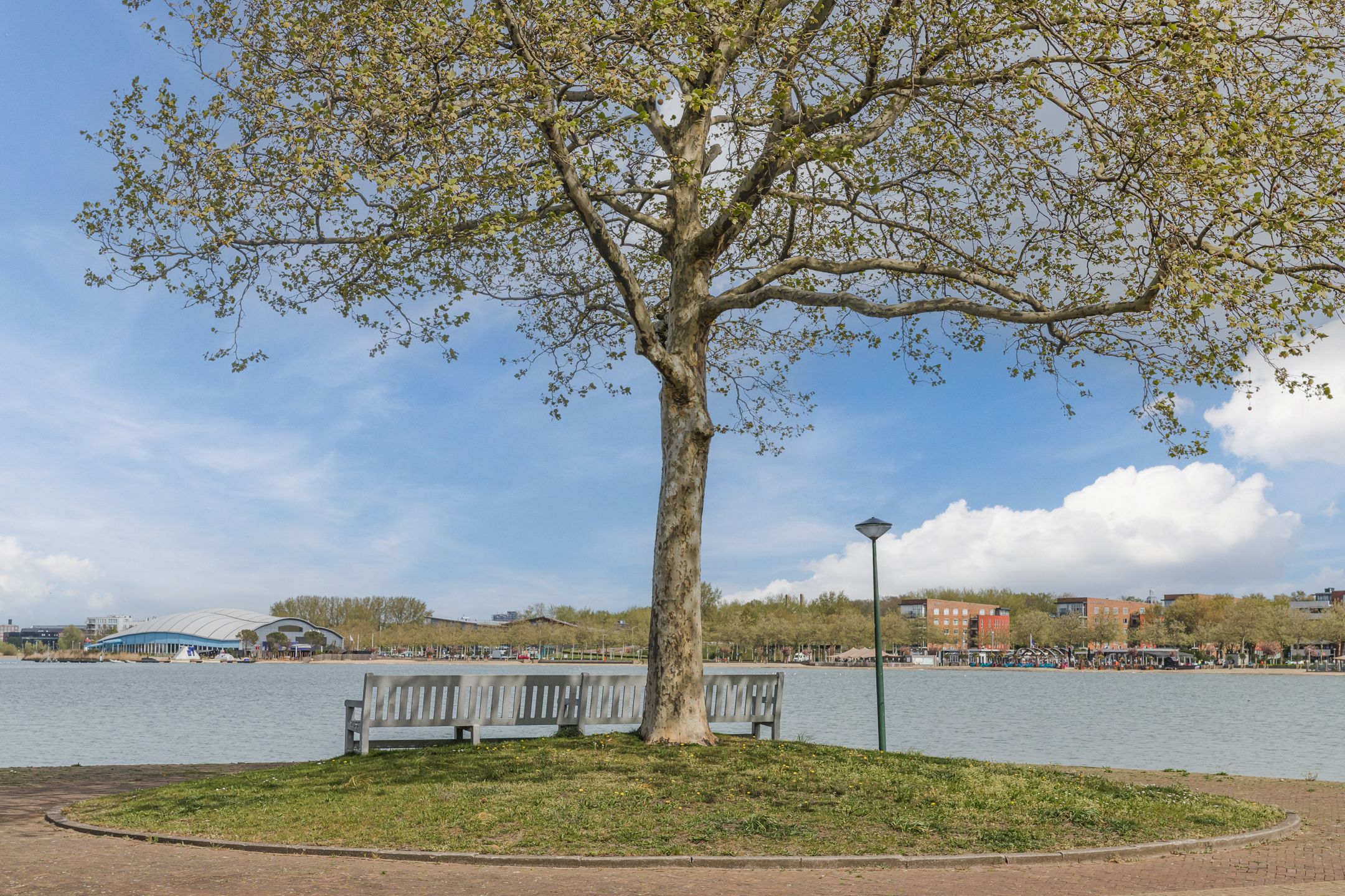 Photo 45 of Westerland 3