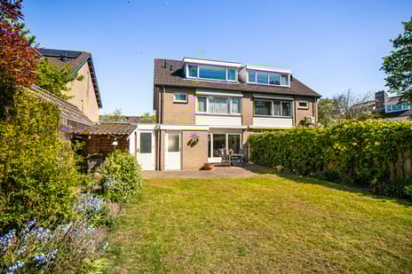 Dissel 10 tertiary image