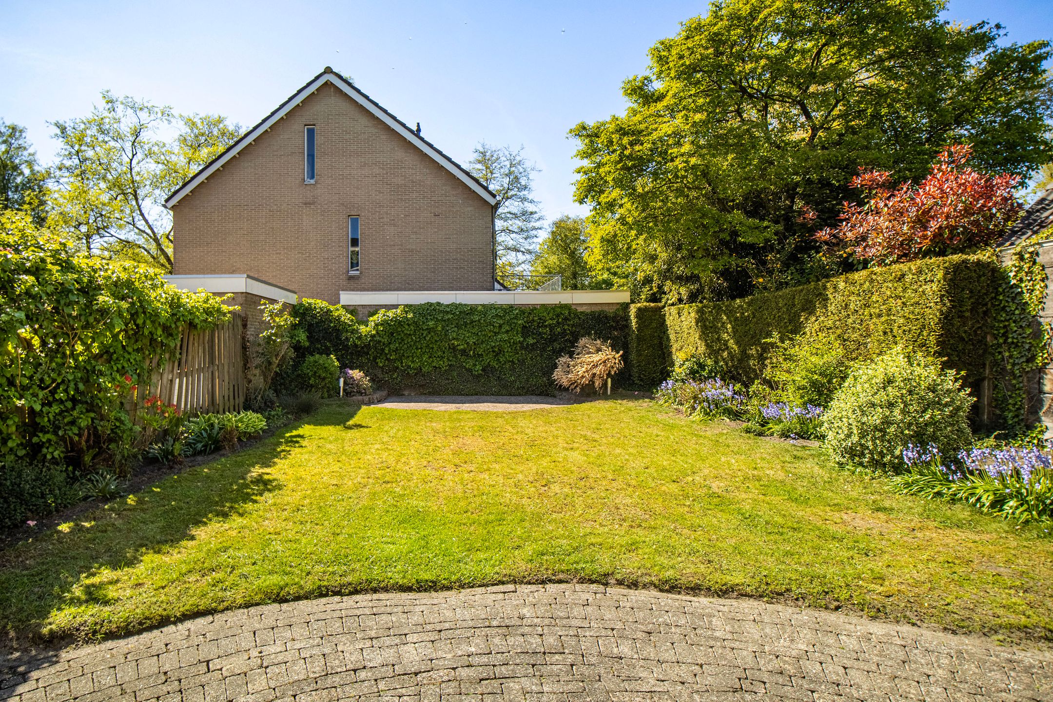 Photo 45 of Dissel 10