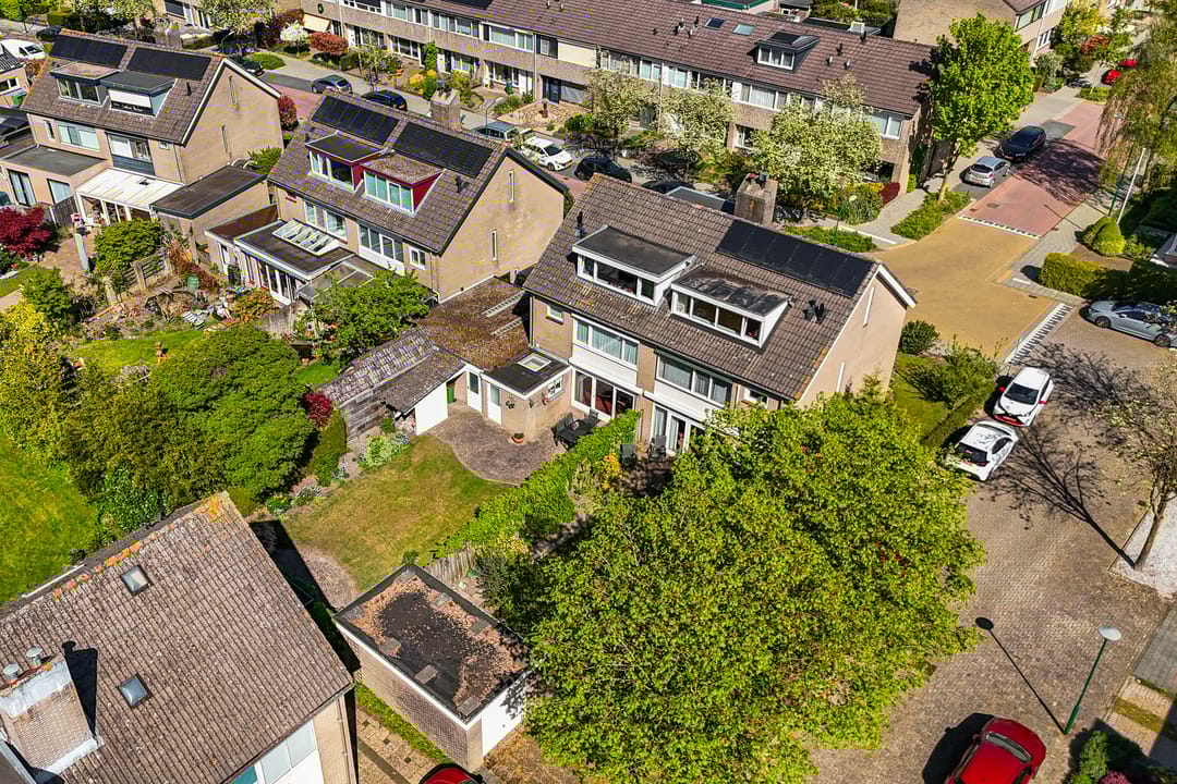 Photo 53 of Dissel 10