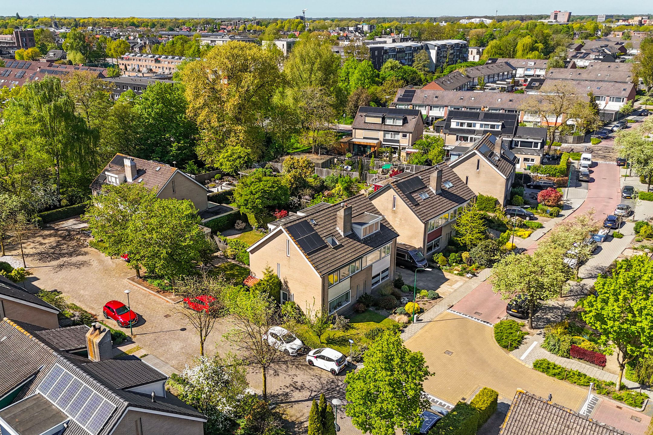 Photo 54 of Dissel 10