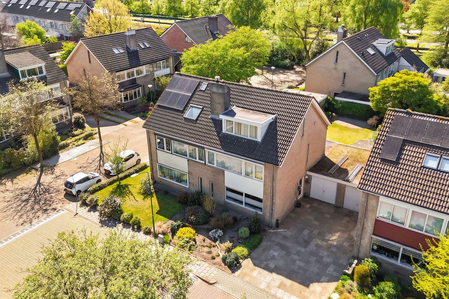 Photo 55 of Dissel 10