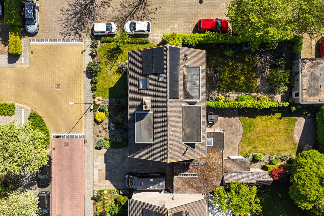 Photo 46 of Dissel 10