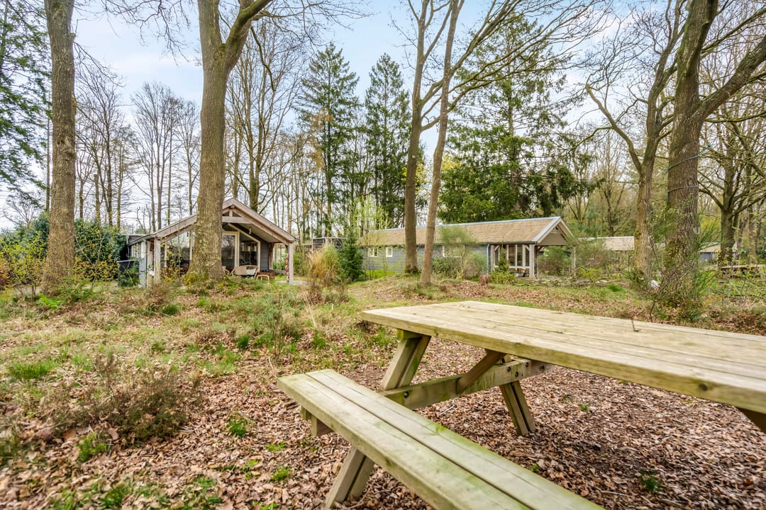 Photo 16 of Amerika 10-R117