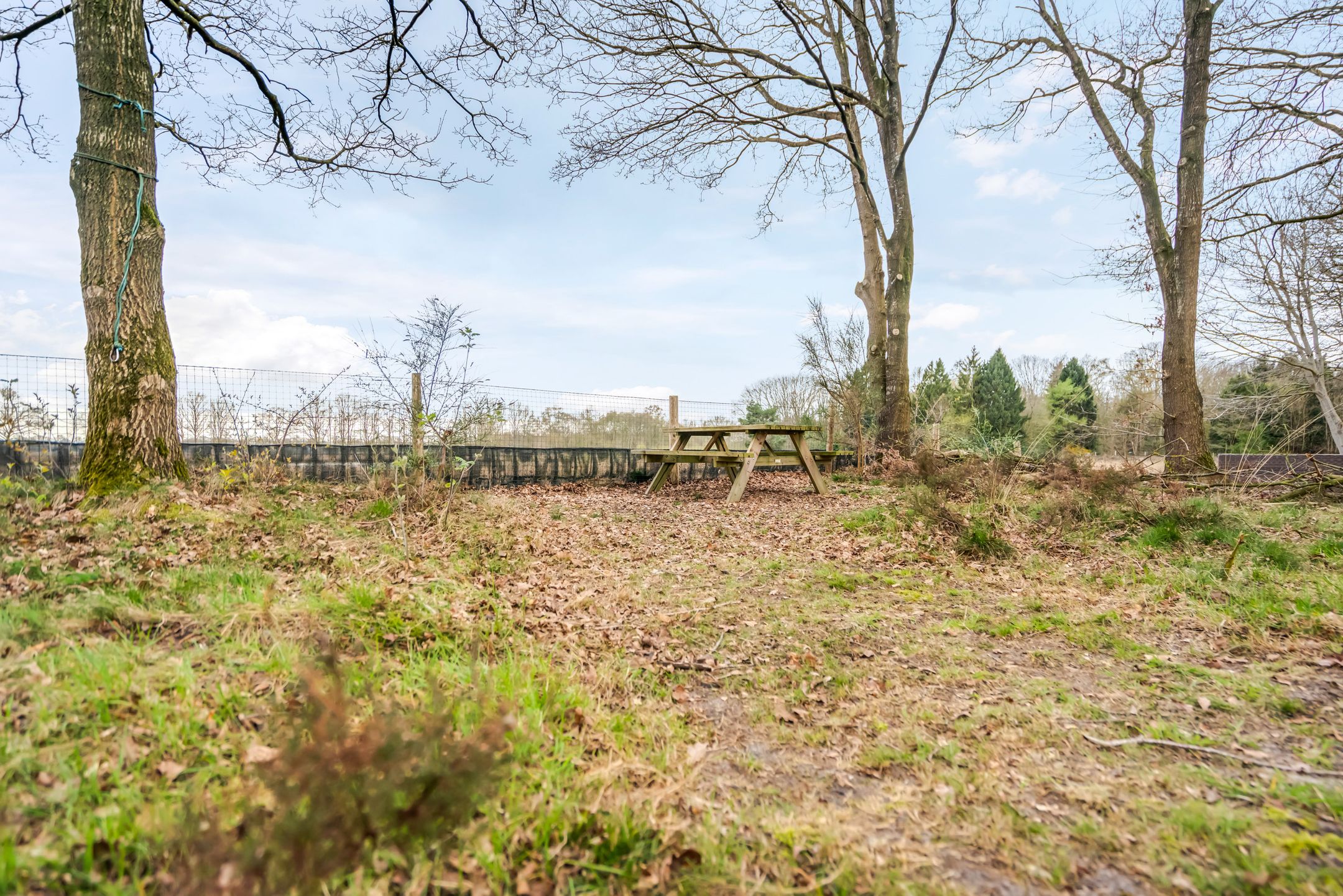 Photo 18 of Amerika 10-R117