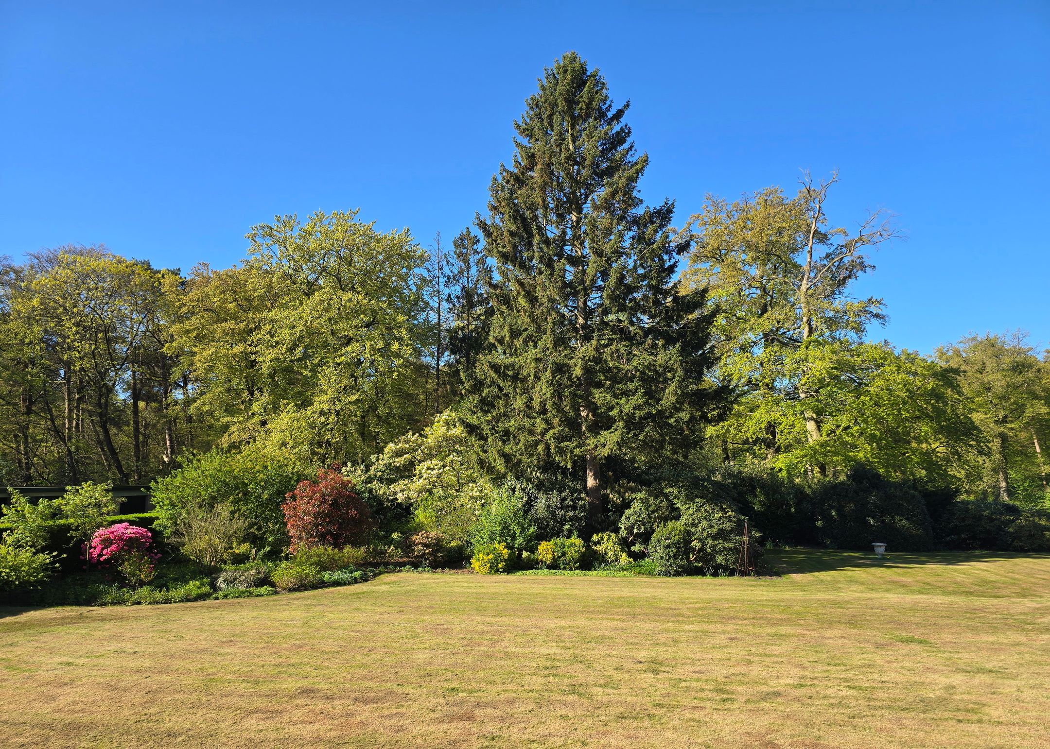 Foto 15 van Arnhemse Bovenweg 12-2