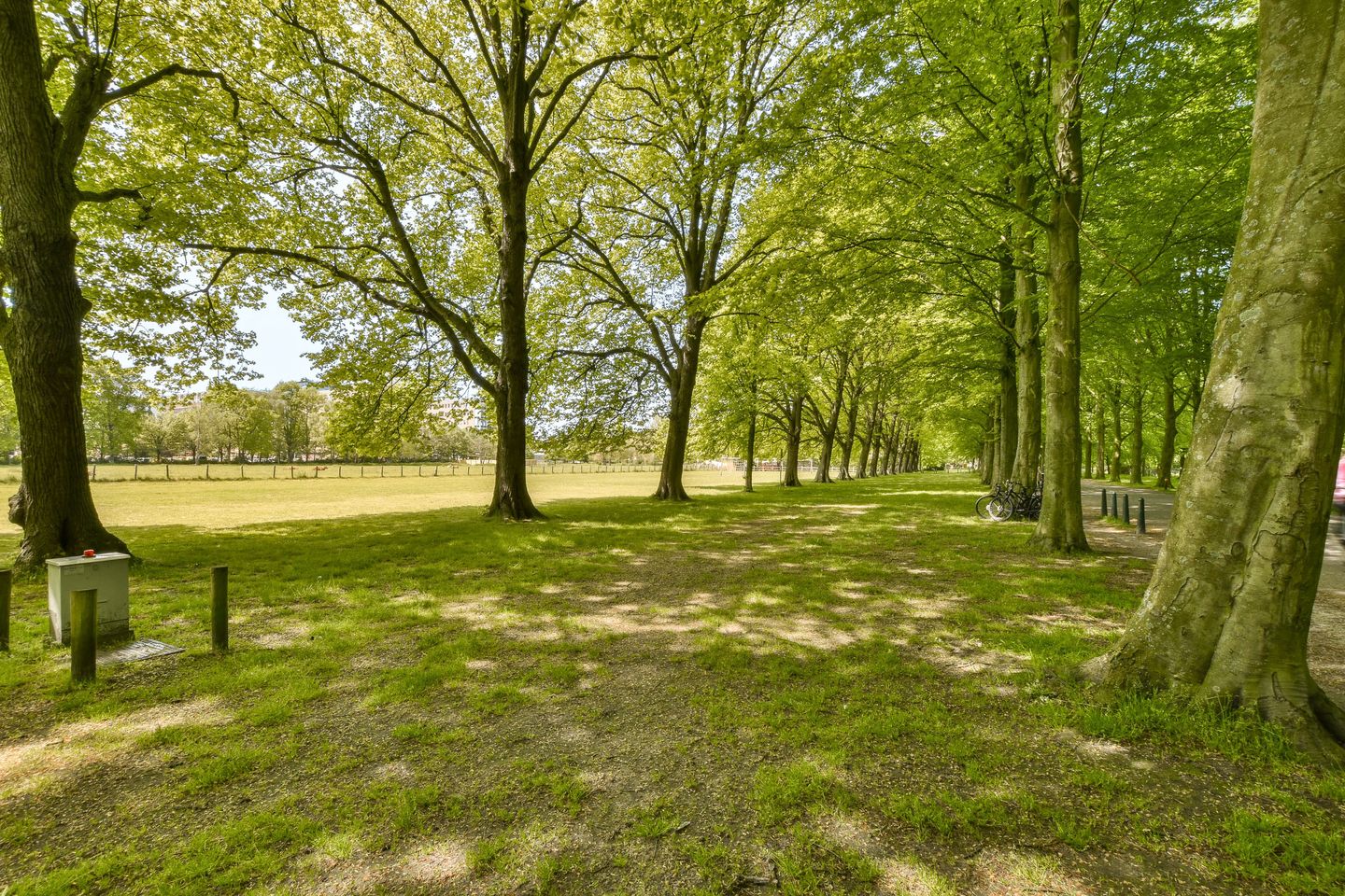 Foto 25 van Laan van Clingendael 93