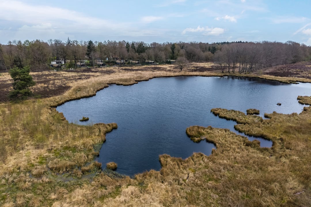 Photo 1 of Amerika 10-R117