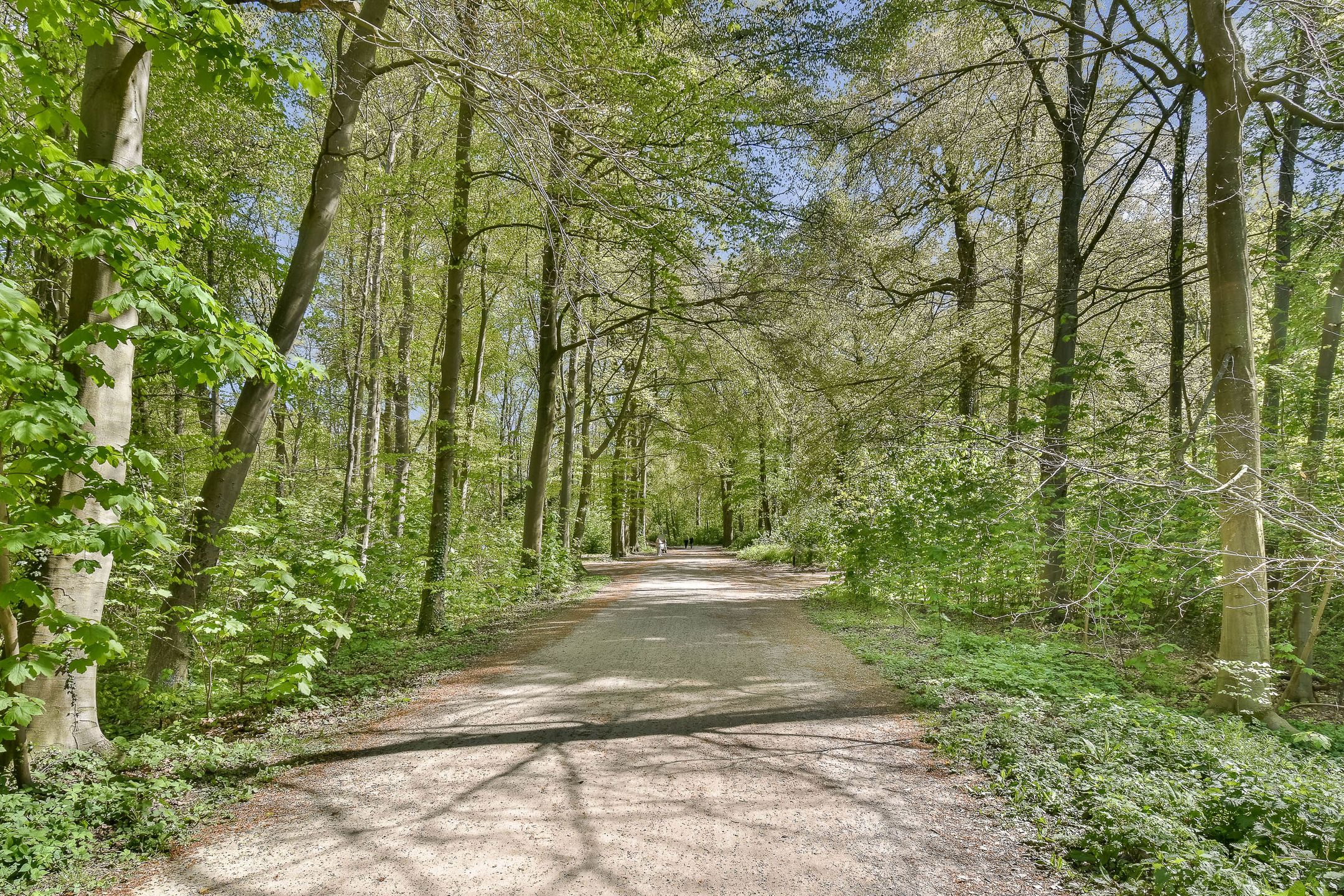 Foto 24 van Laan van Clingendael 93