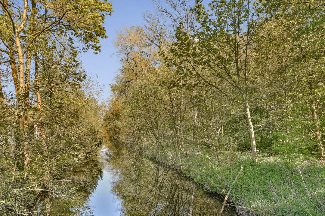 Foto 23 van Laan van Clingendael 93