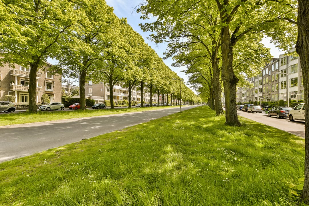 Foto 26 van Laan van Clingendael 93