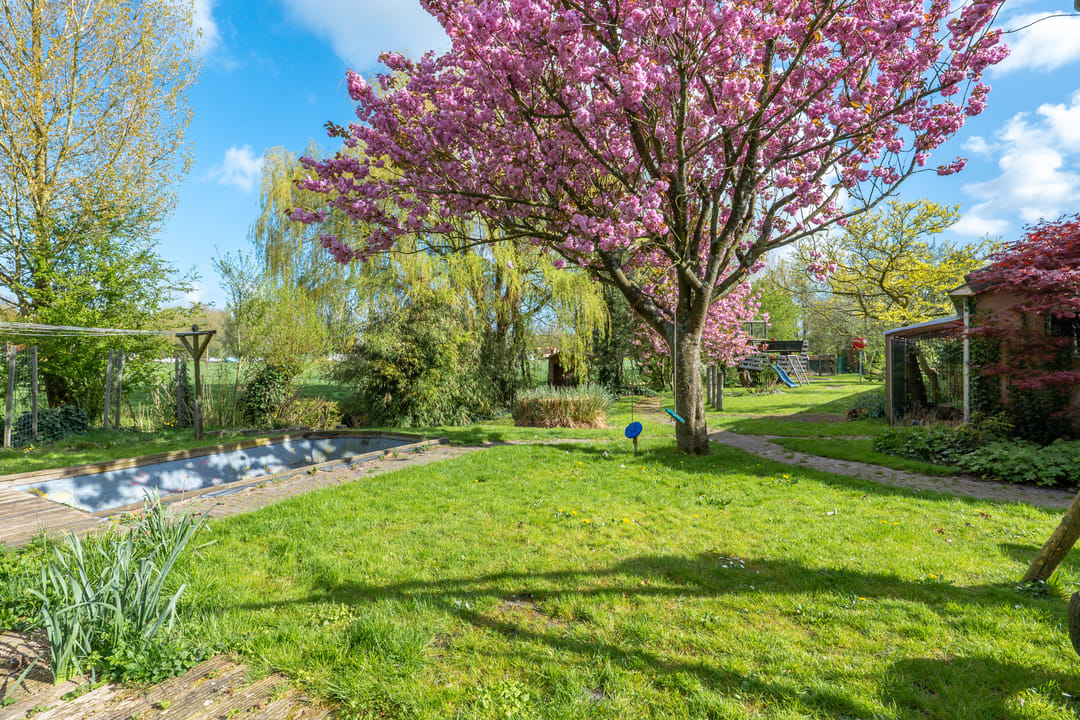 Photo 133 of Dorpsweg 182