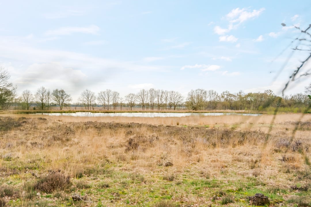 Photo 17 of Amerika 10-R117