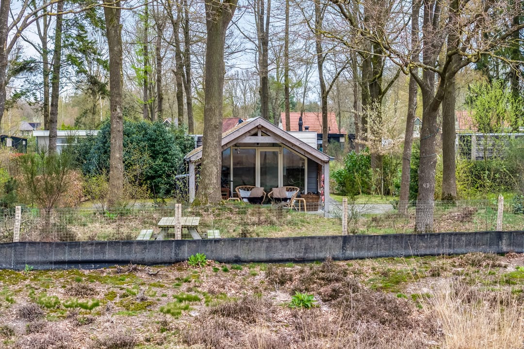 Photo 8 of Amerika 10-R117