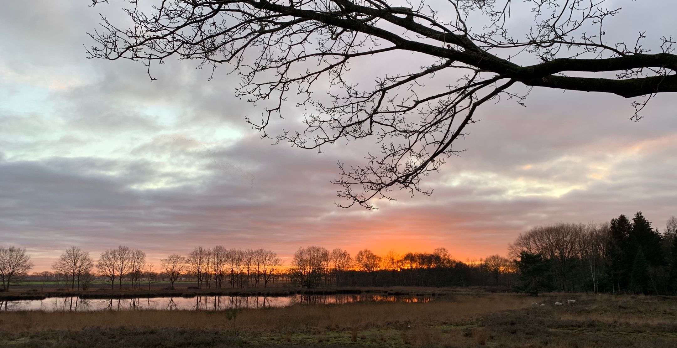 Photo 51 of Amerika 10-R117