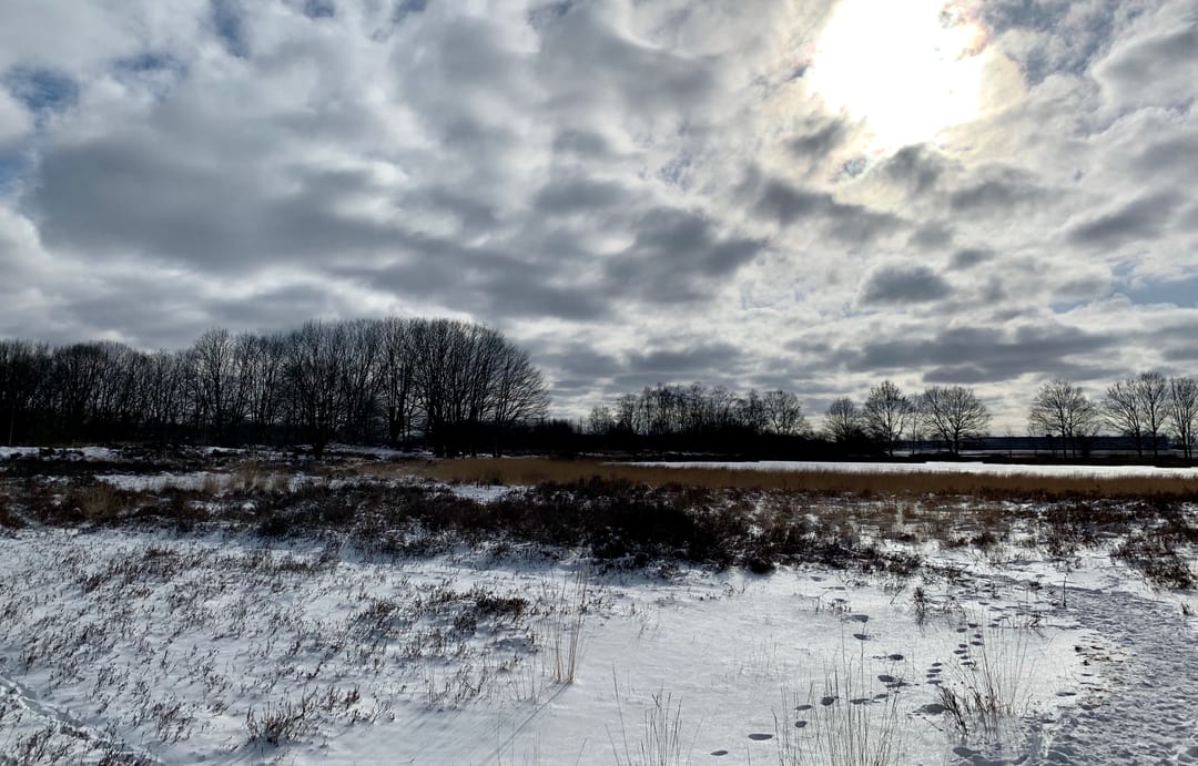 Photo 52 of Amerika 10-R117