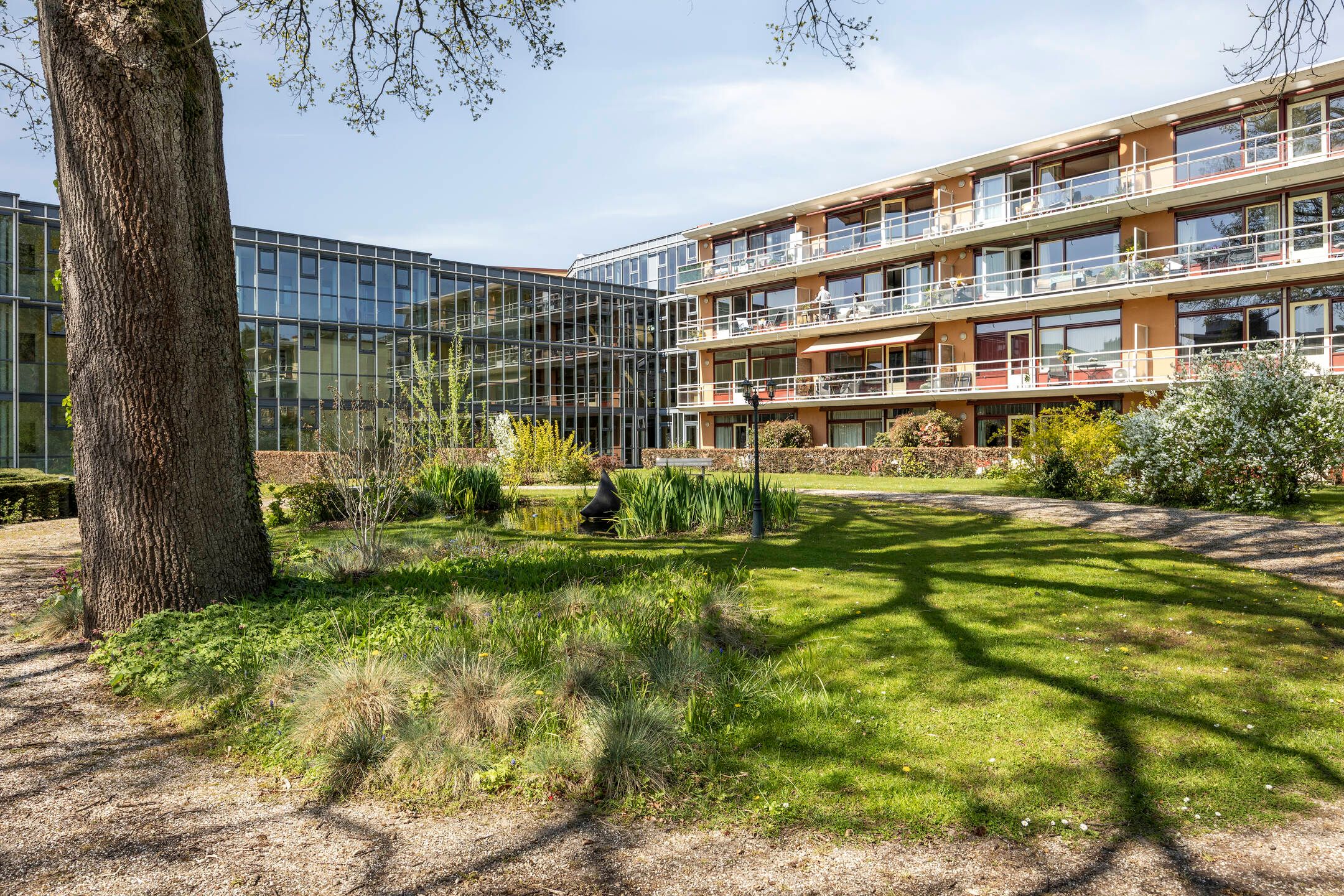 Photo 42 of Nieuw-Schoonoord 160