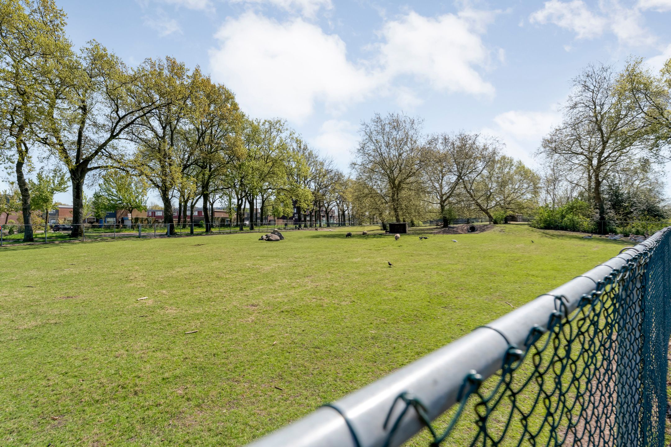 Foto 45 van Anemoonstraat 100