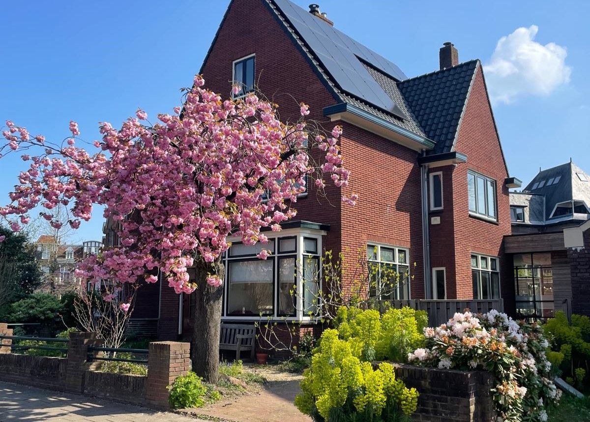 Foto 72 van Delistraat 7