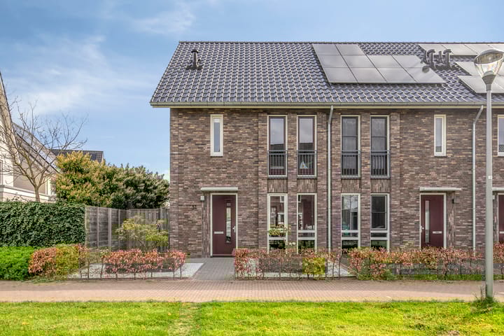 Bankirai 31 main image