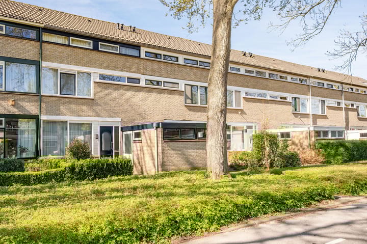 Foto 2 van Laan van Rapijnen 15