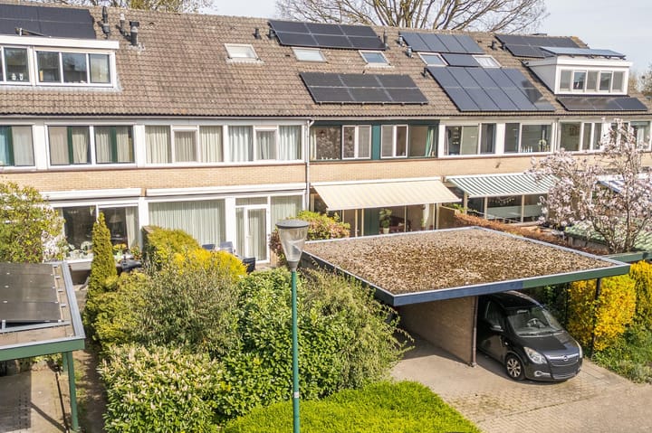 Foto 4 van Laan van Rapijnen 15