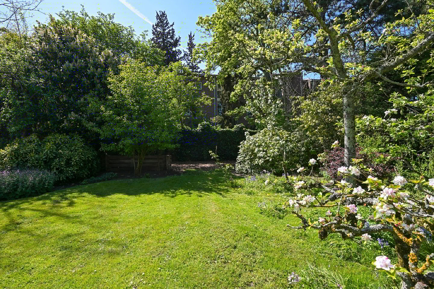 Foto 29 van Jonkerlaan 78