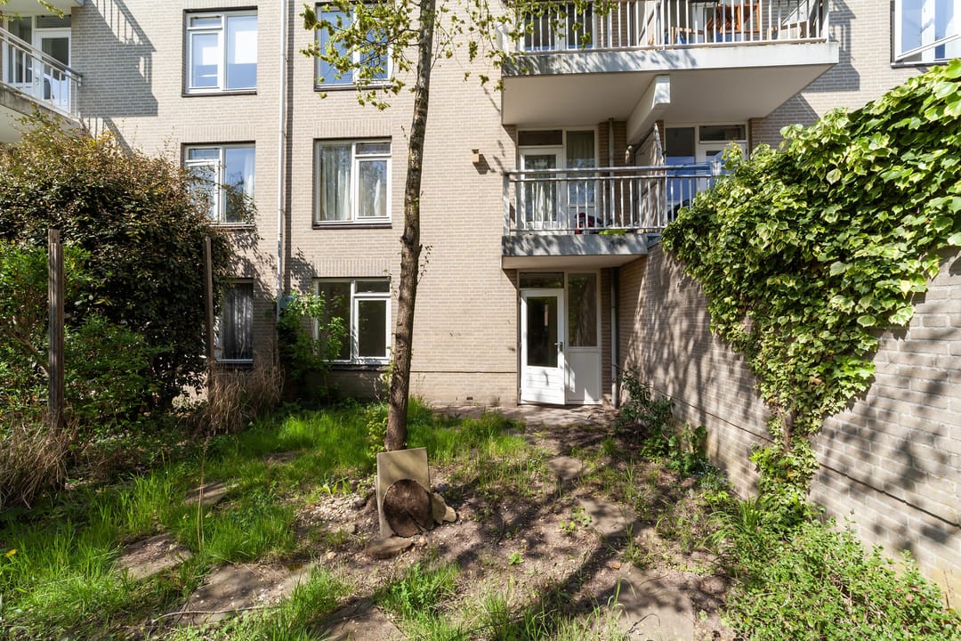 Foto 2 van Ridderspoor 122