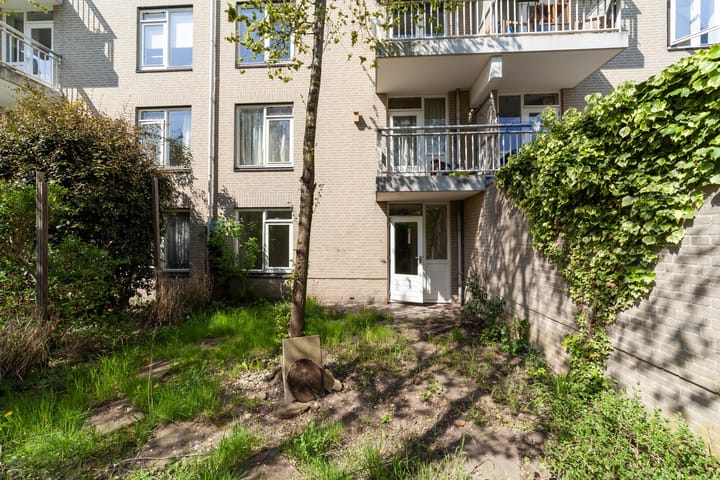 Foto 2 van Ridderspoor 122