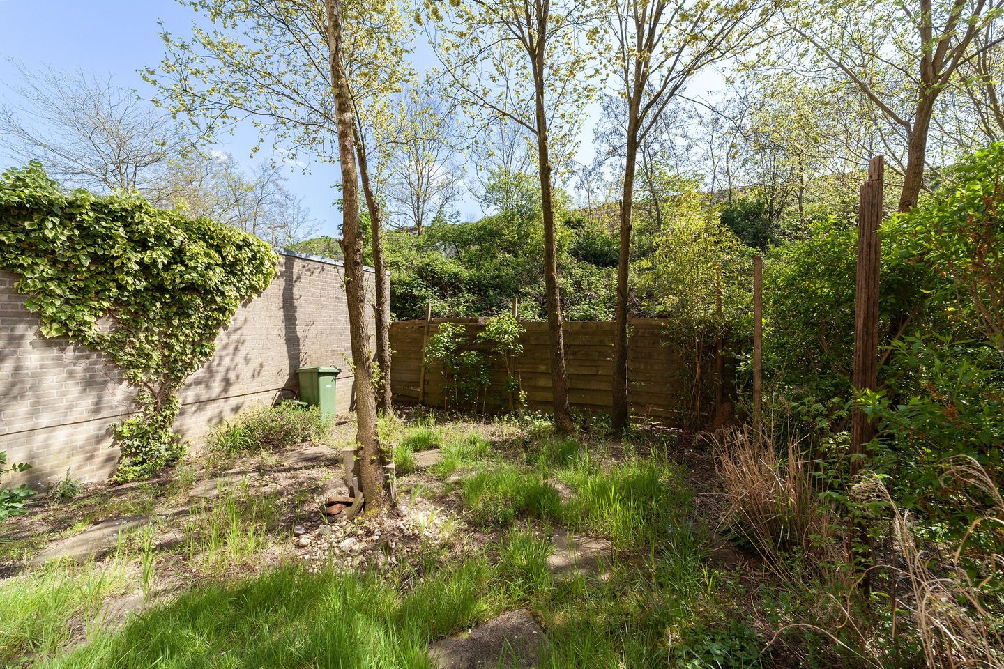 Foto 20 van Ridderspoor 122