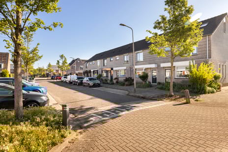 Spinozastraat thumbnail