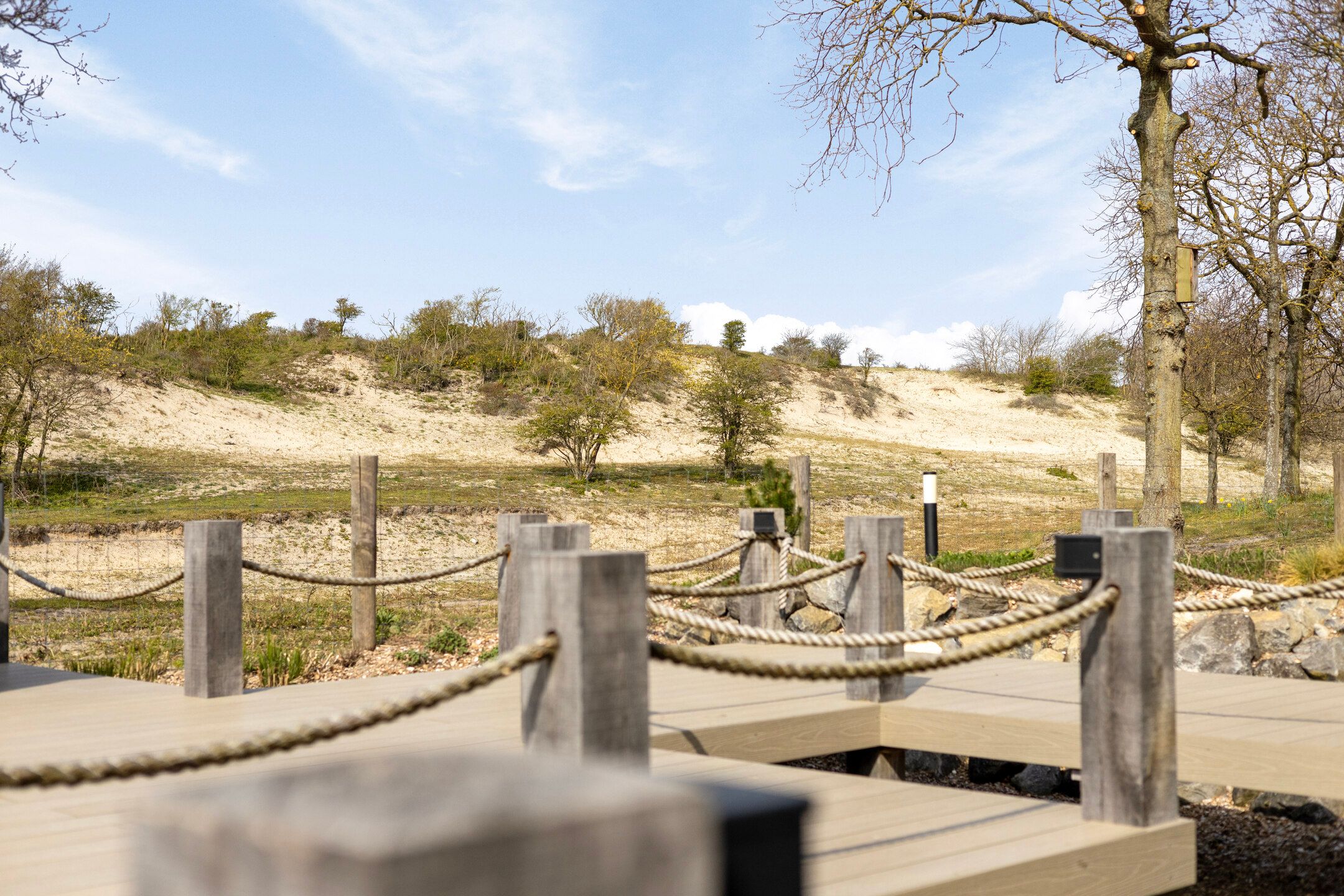 Photo 63 of Duinweg 7