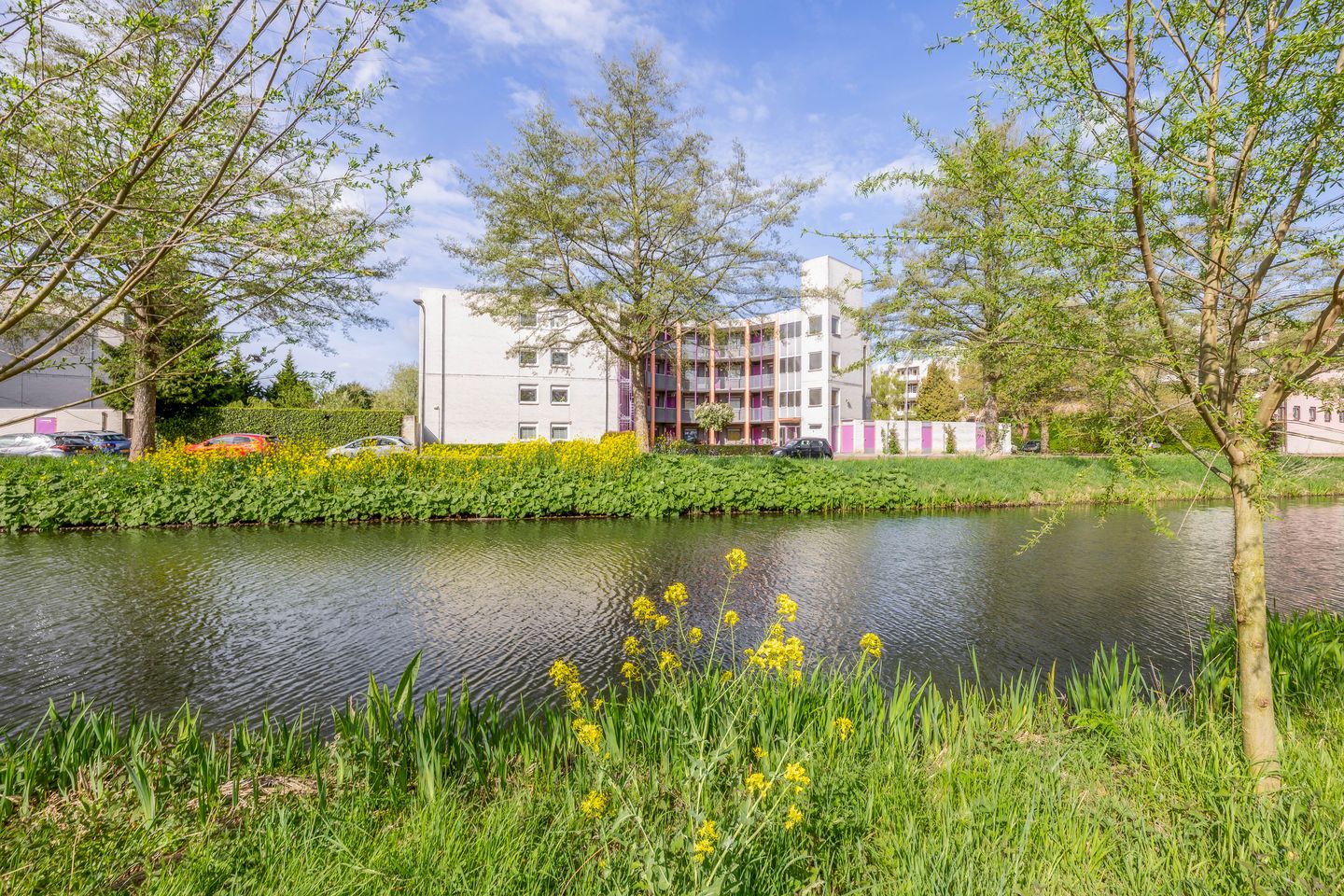 Photo 5 of Sartreweg 30