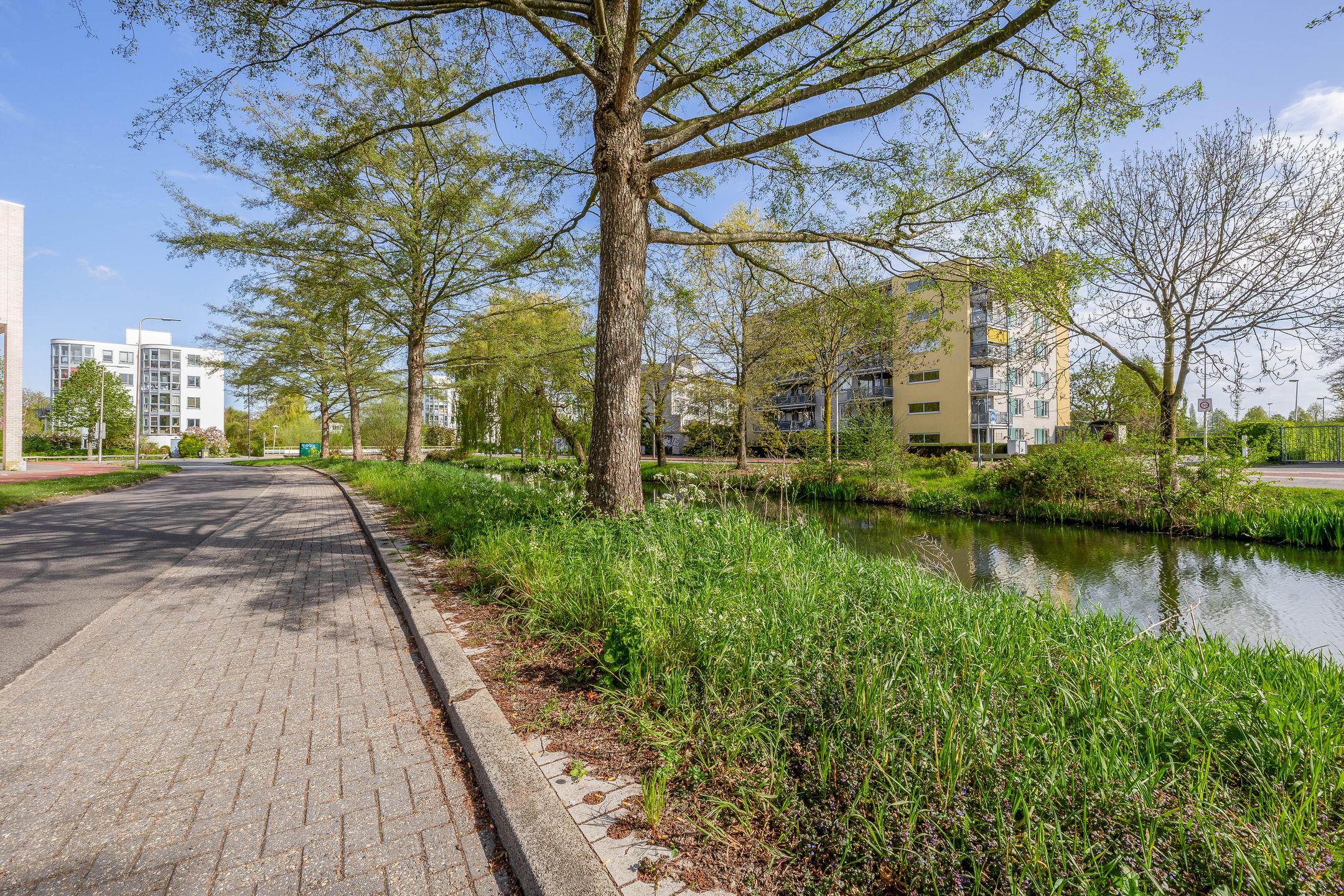 Photo 6 of Sartreweg 30