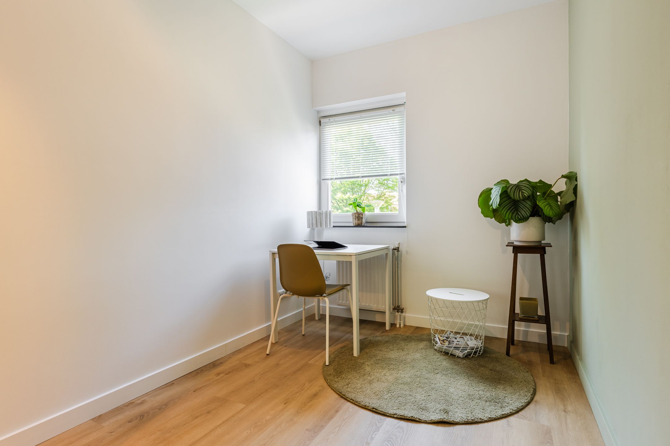 Foto 18 van Staringhof 4