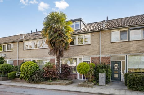 Middelburglaan thumbnail