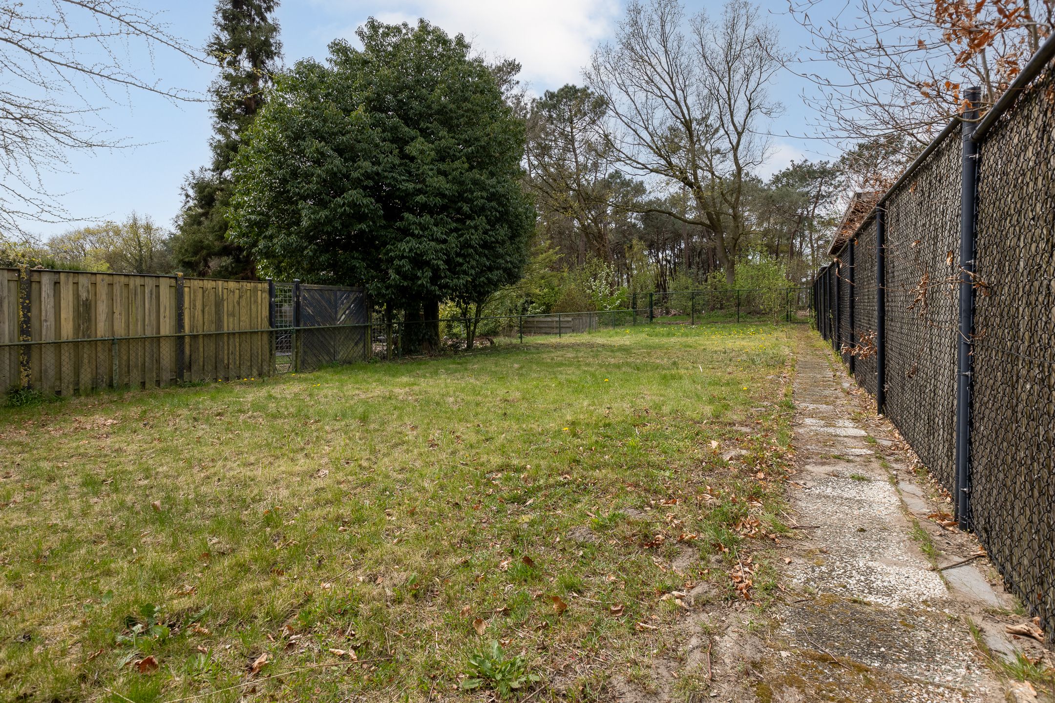 Foto 3 van Calfven 133