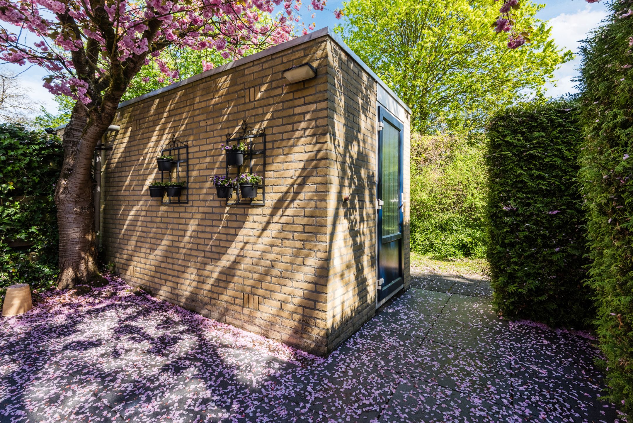 Foto 42 van Karveel 54 4