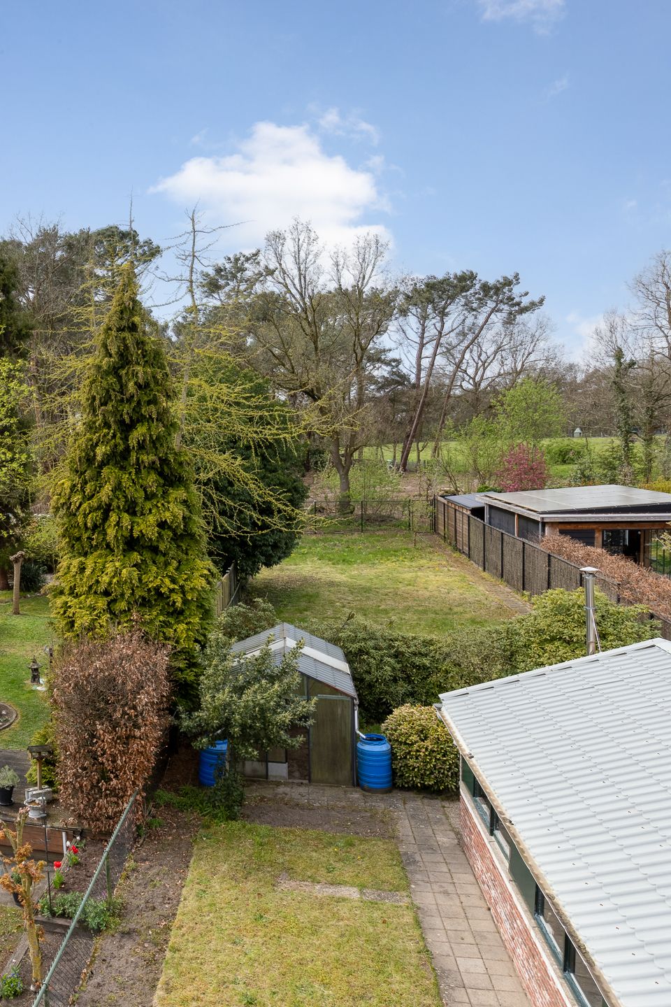 Foto 51 van Calfven 133