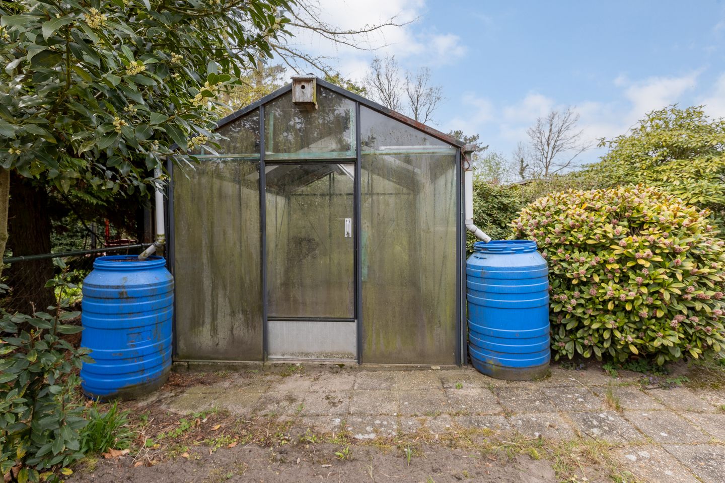 Foto 49 van Calfven 133