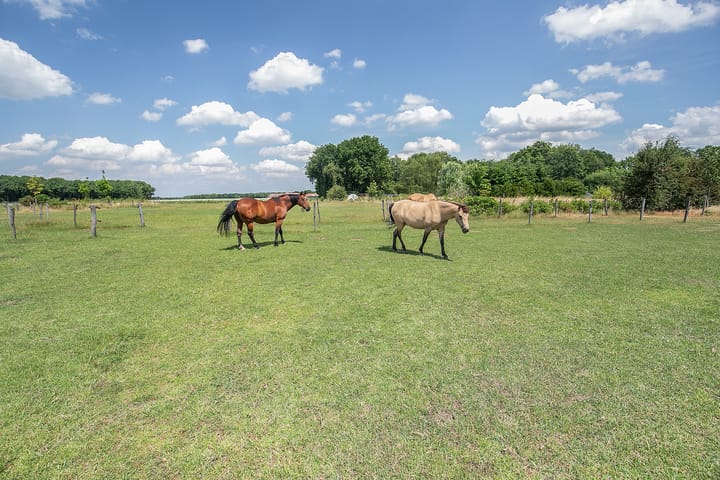 Photo 4 of Boksheide 28