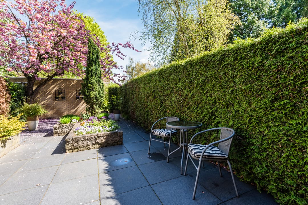 Foto 41 van Karveel 54 4