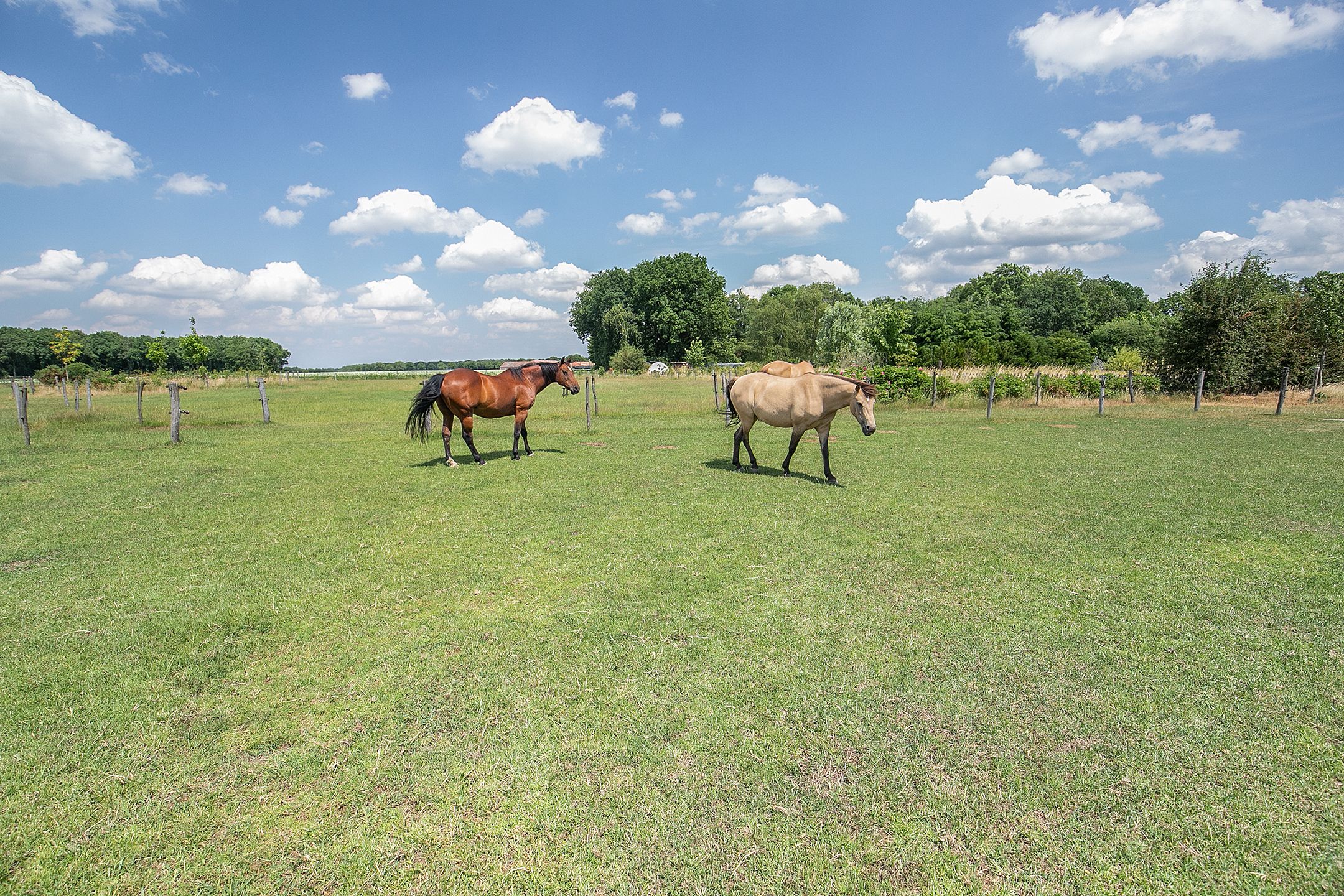 Foto 39 van Boksheide 28