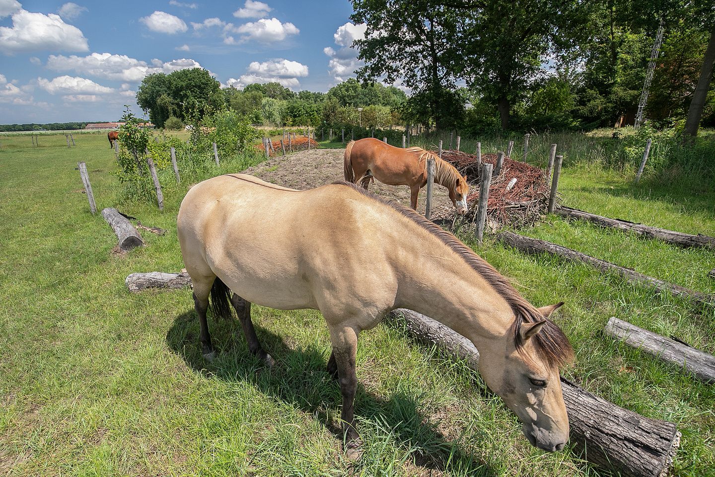 Foto 40 van Boksheide 28