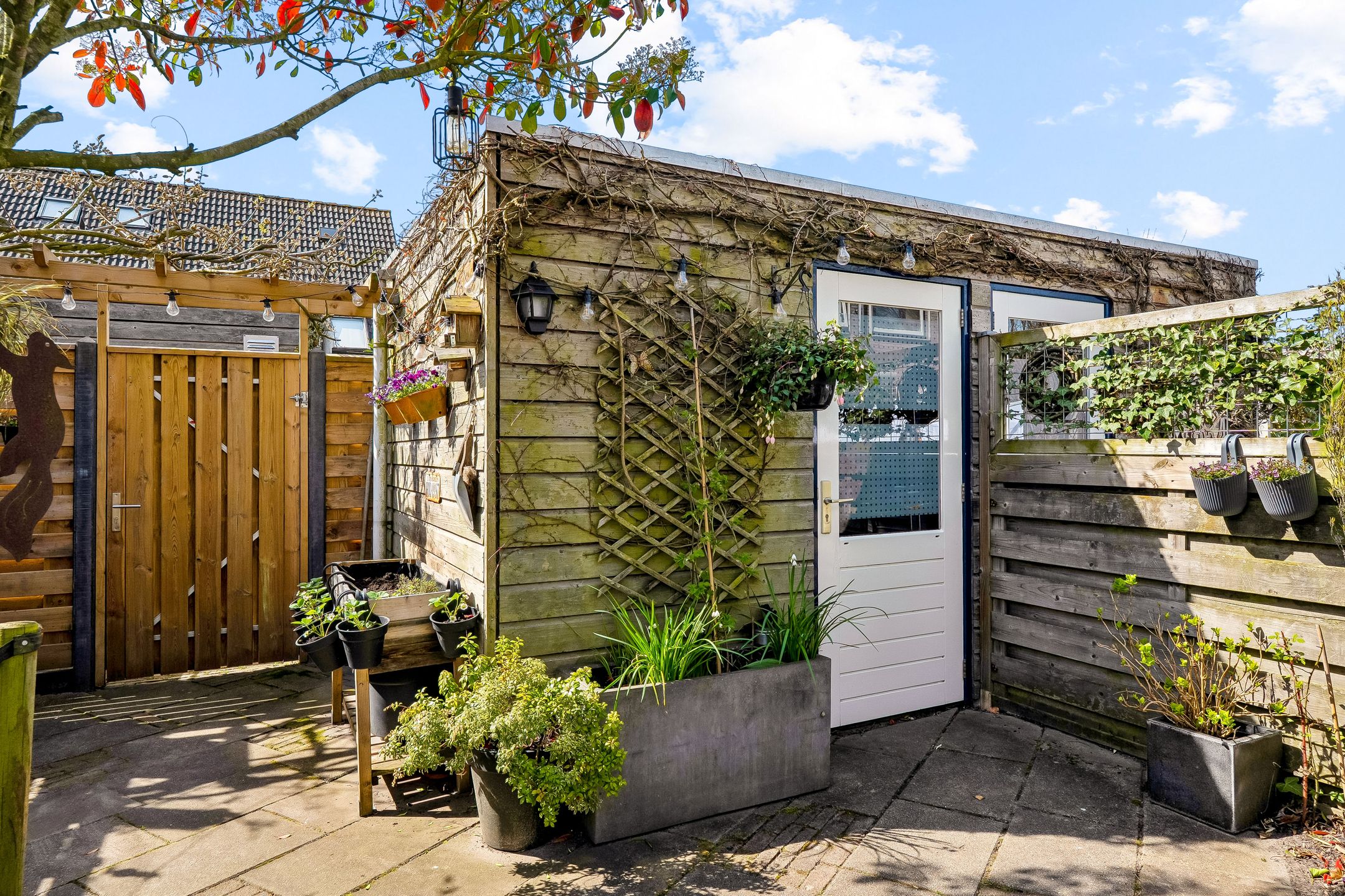 Foto 33 van Marijnenstraat 21