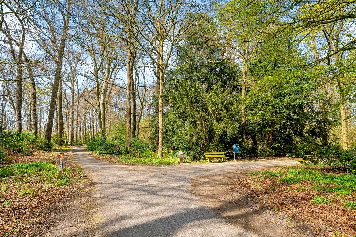 Foto 40 van Marijnenstraat 21