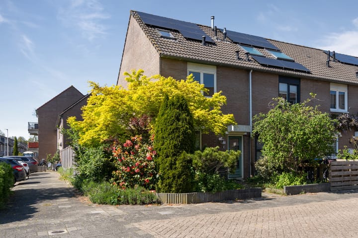 Samoas 21 main image