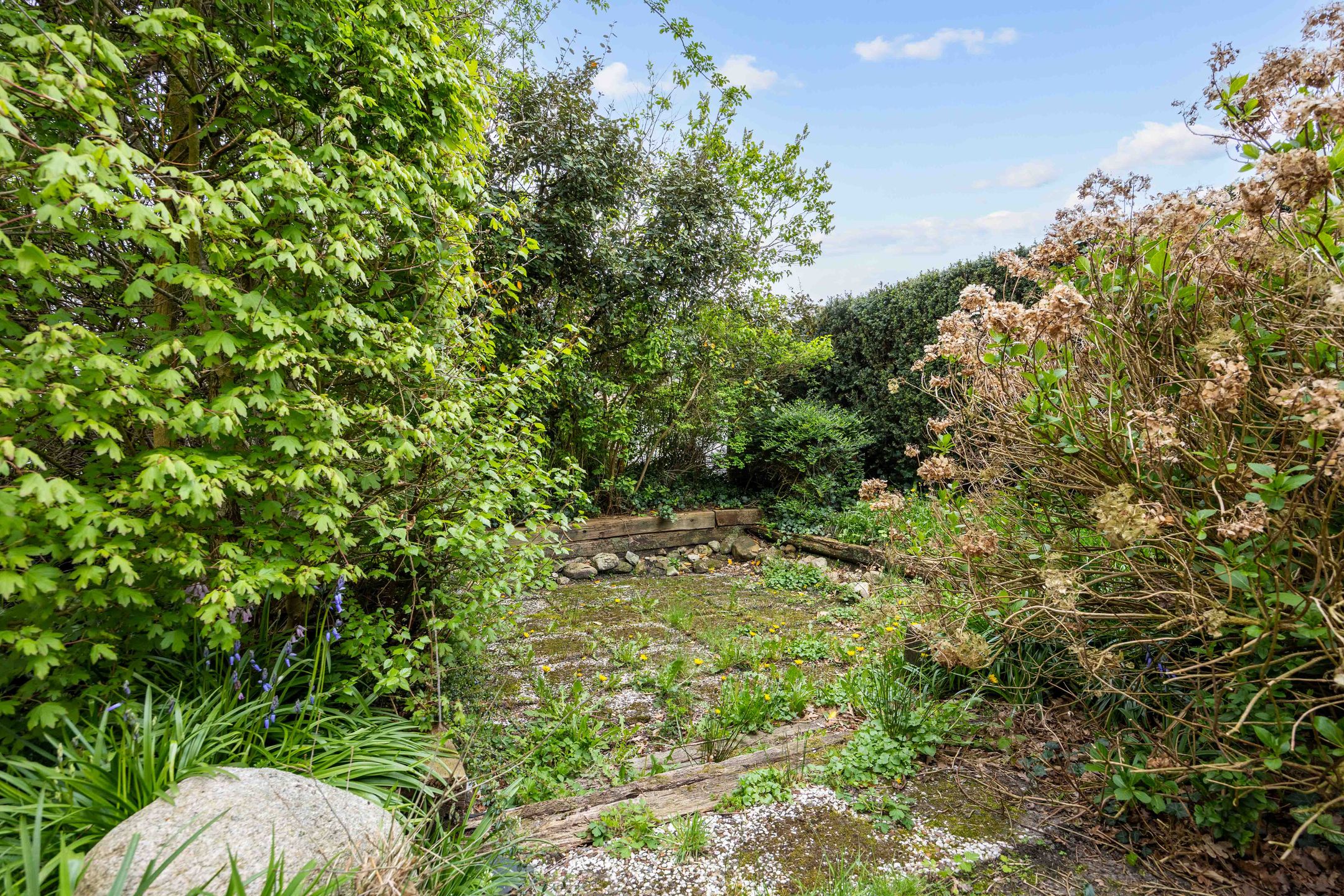 Photo 57 of De Spil 1