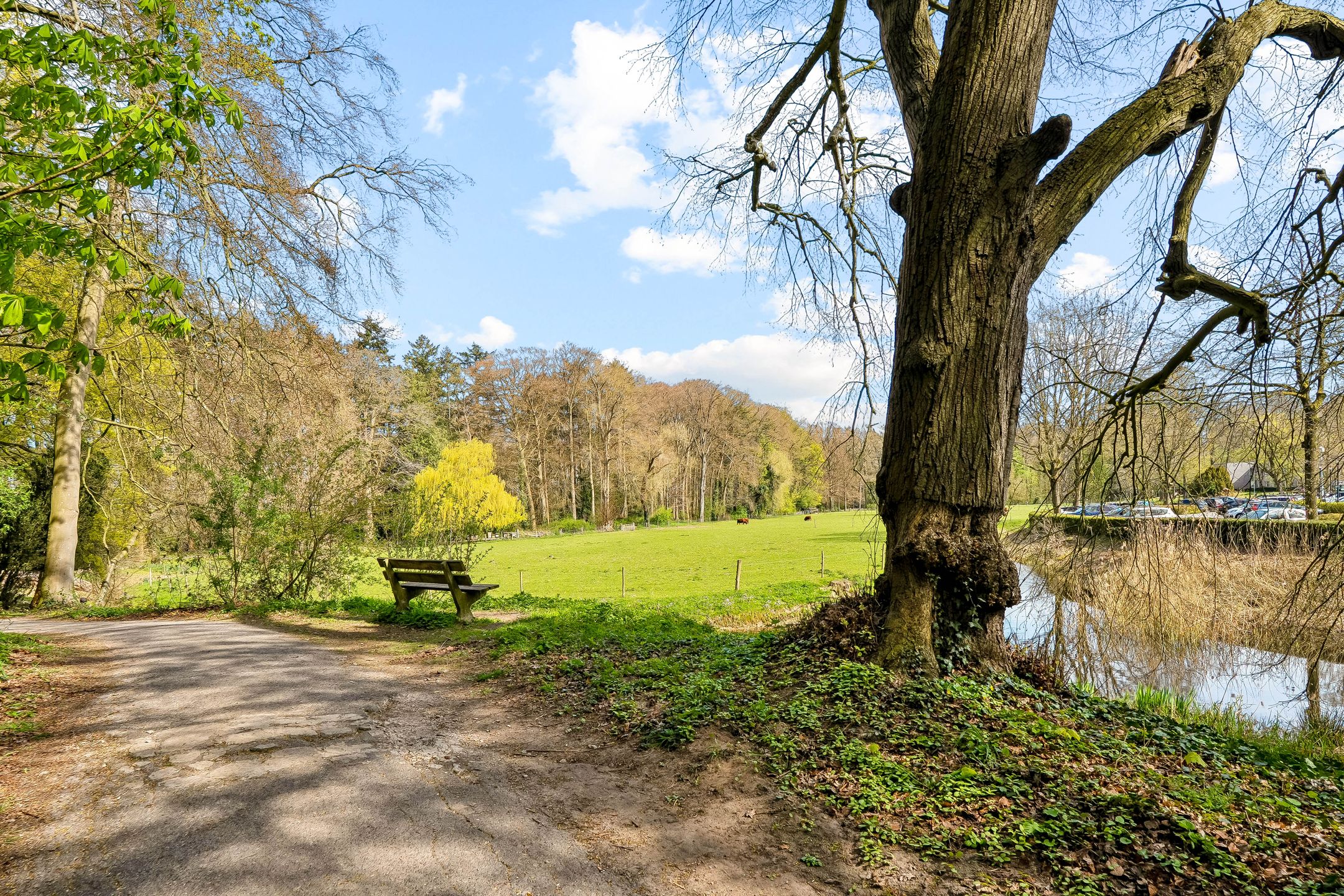 Foto 39 van Marijnenstraat 21