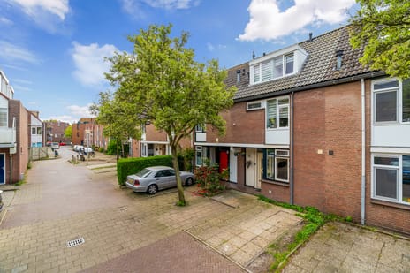 Eric Satieplantsoen thumbnail